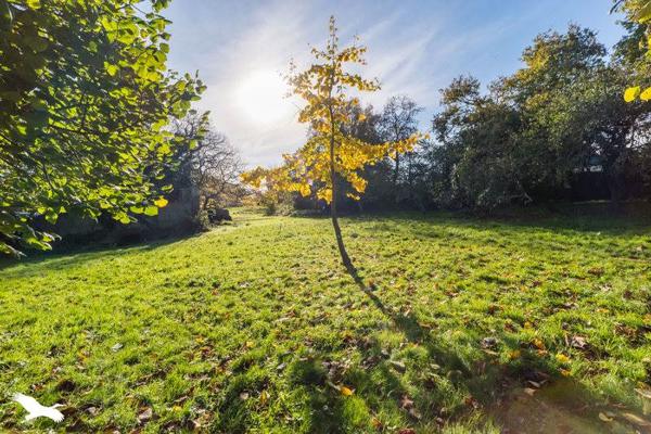 Maison à vendre |  Bégard |  14 pièces | 346 m²