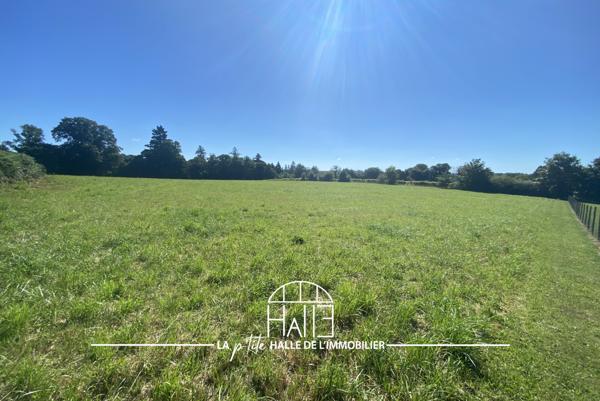 Terrain - 13959 m² Exclusivité efficity