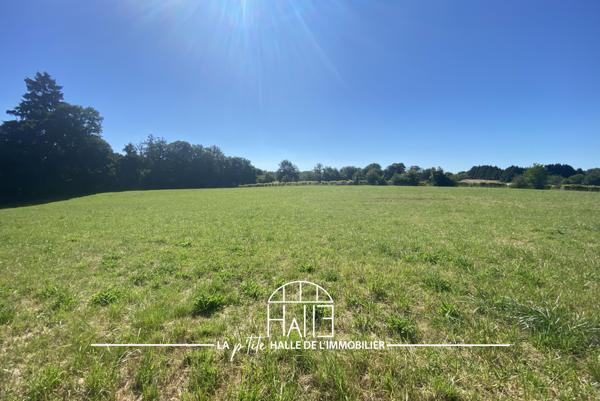 Terrain - 13959 m² Exclusivité efficity