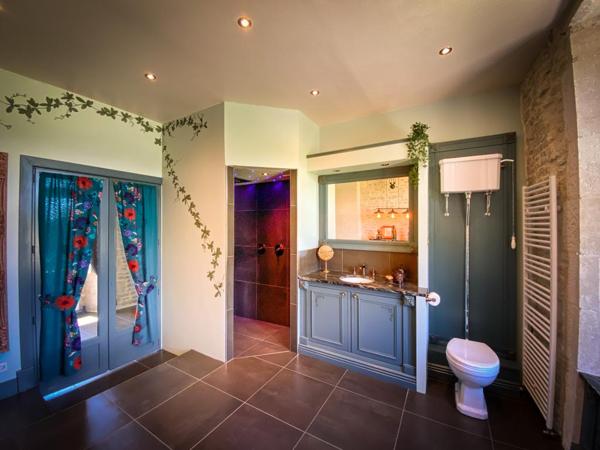 Demeure de prestige Saint Hilaire Des Loges 15 pièce(s) 351.33 m2