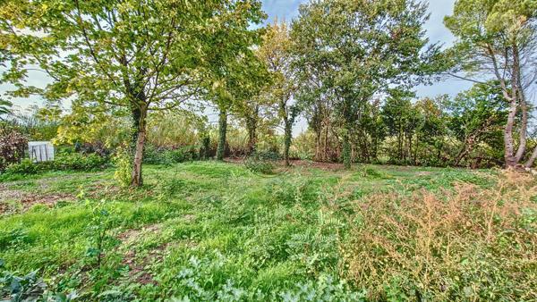 Cheval-Blanc (84460) TERRAIN CONSTRUCTIBLE ARBORE