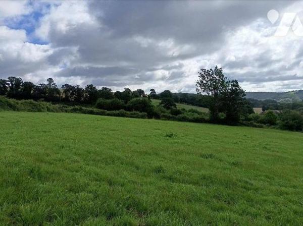 Sur la commune de Condé sur Noireau, à 3 min du centre-ville: 
Parcelle de terrain à bâtir . S...