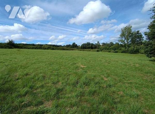 Sur la commune de Condé sur Noireau, à 3 min du centre-ville: 
Parcelle de terrain à bâtir . S...