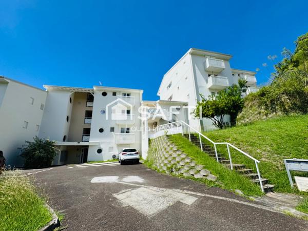 Appartement T3 traversant avec son jardin, vue mer.