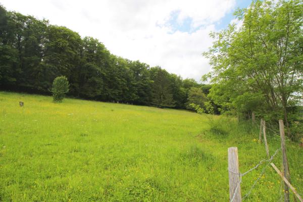 Aisey-sur-Seine (21400) Jolie maison bourguignonne 3 chambres avec terrain 14 000 m² 21400 AISEY-SUR-SEINE