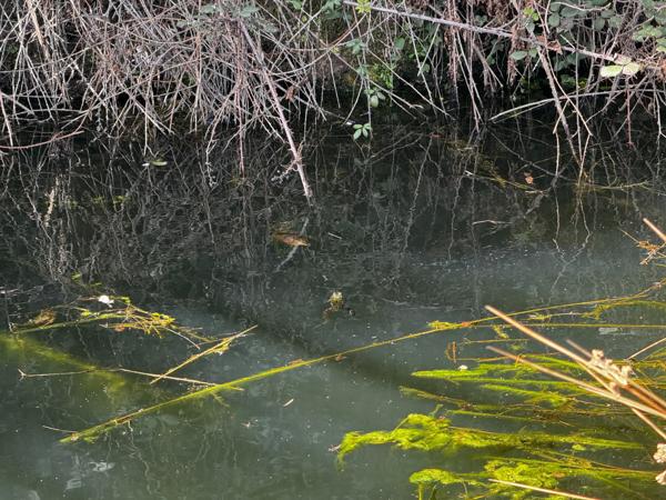 Vals-les-Bains (07600) Beau Terrain secteur Prisé avec Vue et Eau