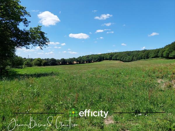 Maison 6 pièces - 156 m² Bien prestige