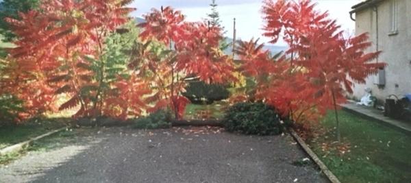 🏡 Maison à vendre à Champtercier – Grande villa familiale 5 pièces avec vue panoramique sur le Cousson !