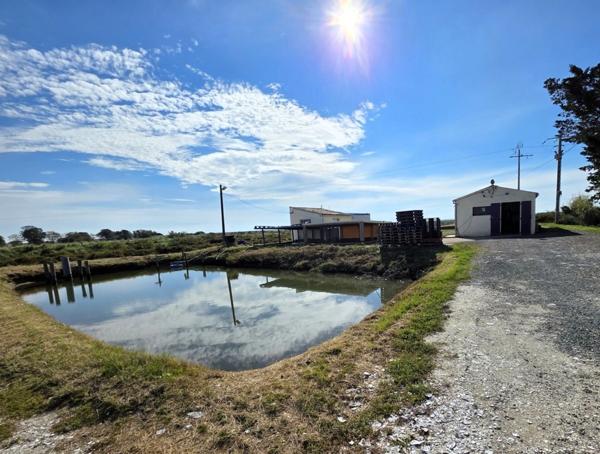 DOLUS D'OLÉRON (17), A Vendre société avec fonds ostréicole d'affinage purification, négoce d'huître, expédition & détail