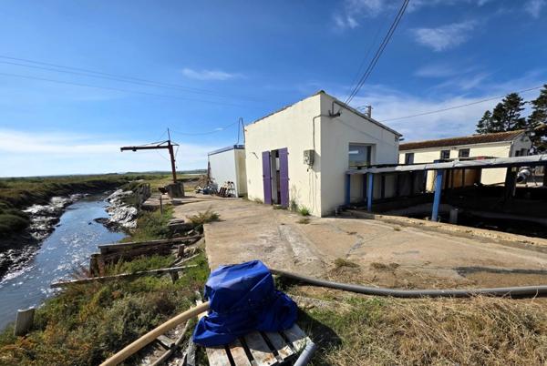 DOLUS D'OLÉRON (17), A Vendre société avec fonds ostréicole d'affinage purification, négoce d'huître, expédition & détail