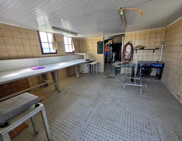 DOLUS D'OLÉRON (17), A Vendre société avec fonds ostréicole d'affinage purification, négoce d'huître, expédition & détail