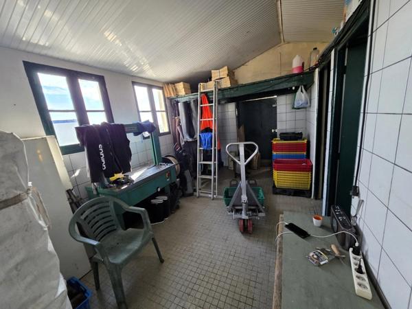 DOLUS D'OLÉRON (17), A Vendre société avec fonds ostréicole d'affinage purification, négoce d'huître, expédition & détail