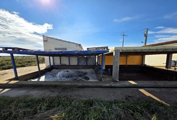 DOLUS D'OLÉRON (17), A Vendre société avec fonds ostréicole d'affinage purification, négoce d'huître, expédition & détail