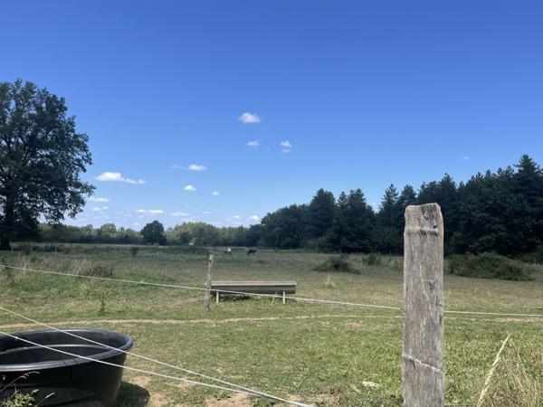 Vente Maison52,5 m² - 3 Pièces - MORLAC (18170)