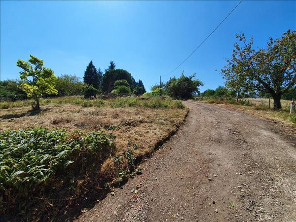 Maison à vendre |  Saint-Paul-d'Espis |  4 pièces | 106 m²