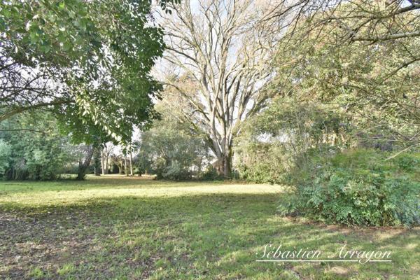 Maison de maître du XIXᵉ siècle à Villeneuve-sur-Lot – 460 m² – Parc de 8 300 m² – Piscine – Centre-ville à pied