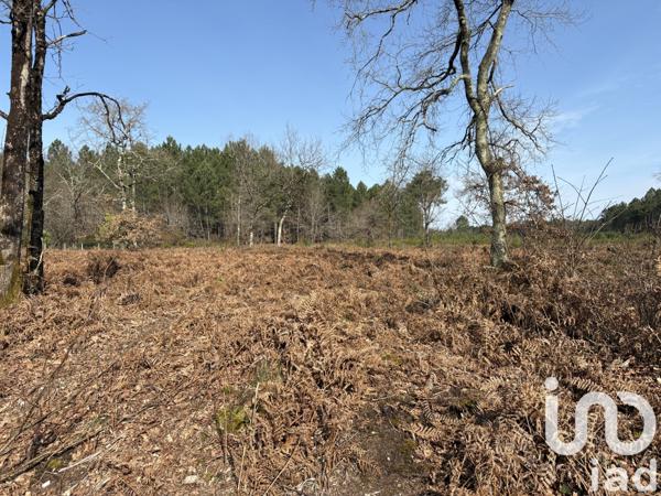 Terrain à vendre 1 009 m² Saint-Médard-en-Jalles