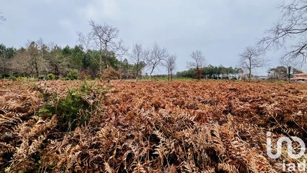 Terrain à vendre 1 009 m² Saint-Médard-en-Jalles