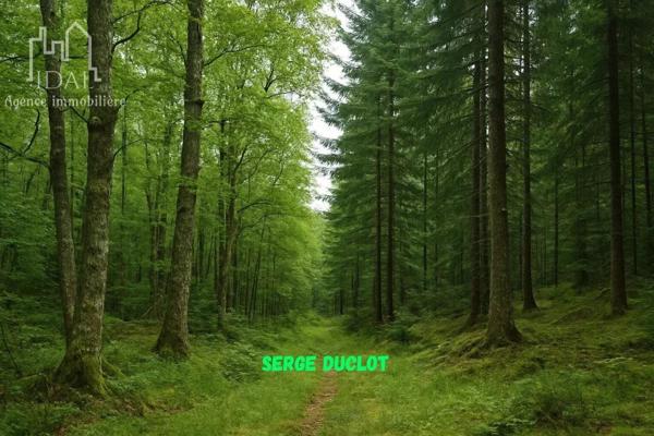 Vente Terrain 4080 m2 à Saint-Denis-en-Margeride