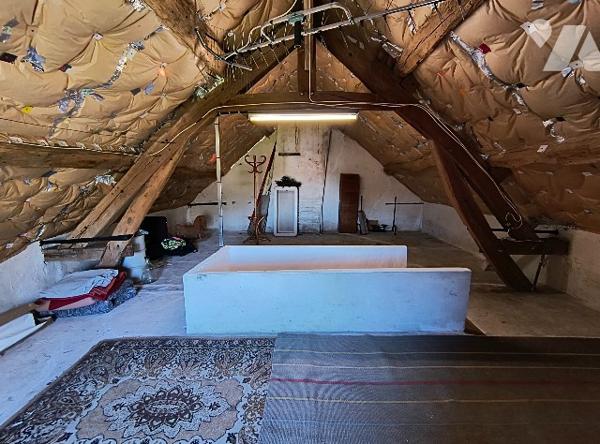 PROCHE LA FERTE-MILON - BELLE MAISON FAMILIALE A LA CAMPAGNE