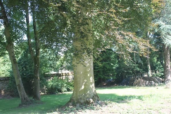 Manoir avec ses belles dépendances sur un magnifique parc entièrement clos