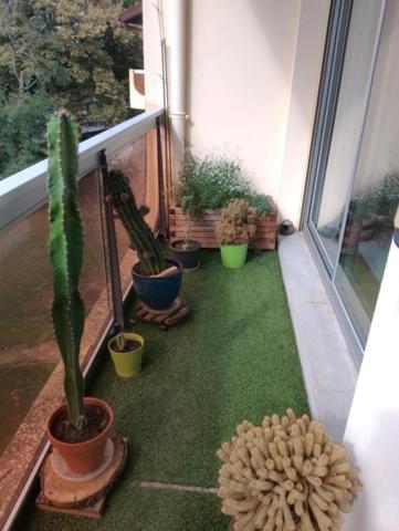 Appartement T3 (40990) SAINT-PAUL-LES-DAX