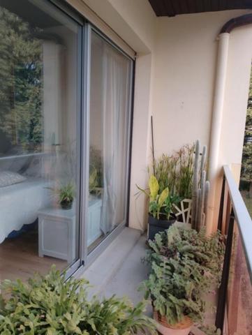 Appartement T3 (40990) SAINT-PAUL-LES-DAX