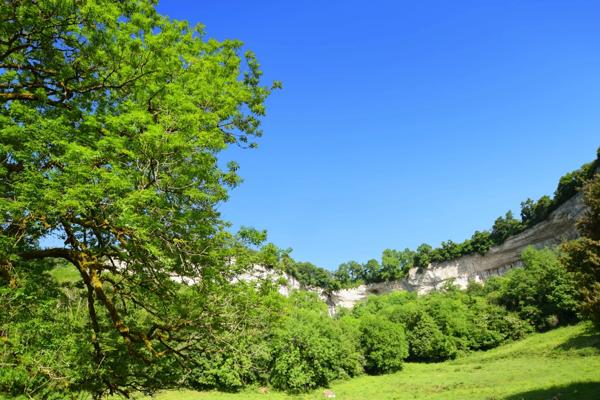 Terrain à bâtir sur une parcelle de 3950 m2 à vendre à Cormot VAUCHIGNON (21)