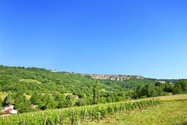 Terrain à bâtir sur une parcelle de 3950 m2 à vendre à Cormot VAUCHIGNON (21)