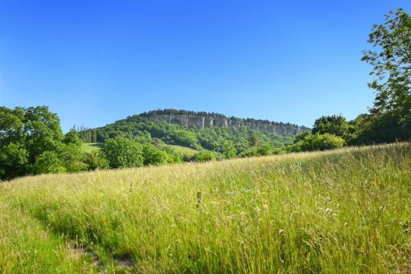Terrain à bâtir sur une parcelle de 3950 m2 à vendre à Cormot VAUCHIGNON (21)