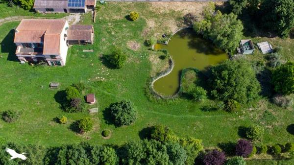 Maison à vendre 324 632 € Fonsorbes 7 p 172 m² DPE D