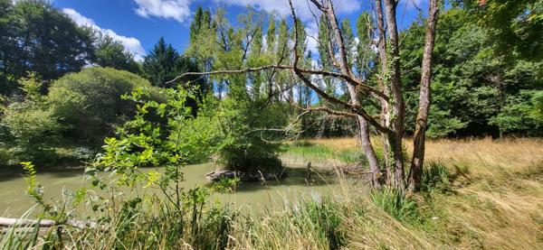 Beaéu terrain de loisir, au calme, avec étang