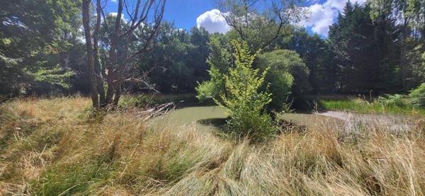 Beaéu terrain de loisir, au calme, avec étang