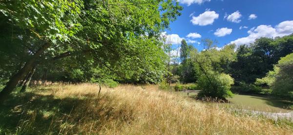 Beaéu terrain de loisir, au calme, avec étang