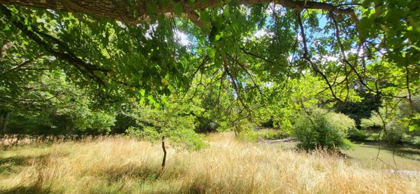 Beaéu terrain de loisir, au calme, avec étang