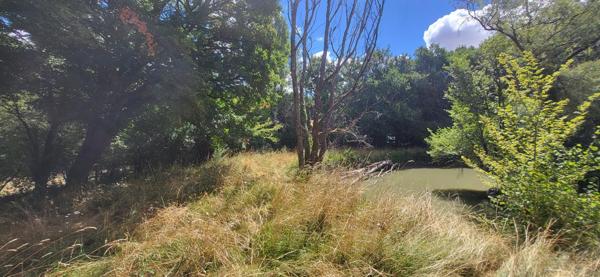 Beaéu terrain de loisir, au calme, avec étang