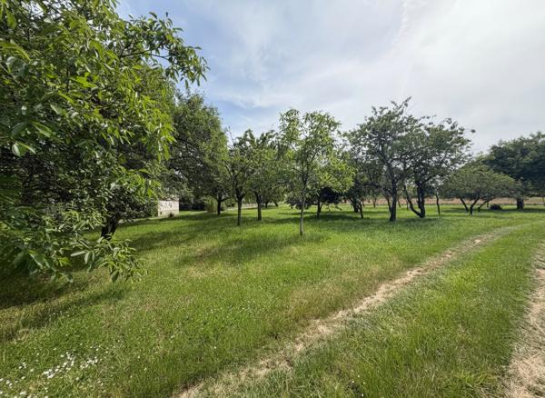 Domaine à fort potentiel : étang d'un hectare, deux maisons, dépendances exceptionnelles - à rénover et personnaliser entièrement