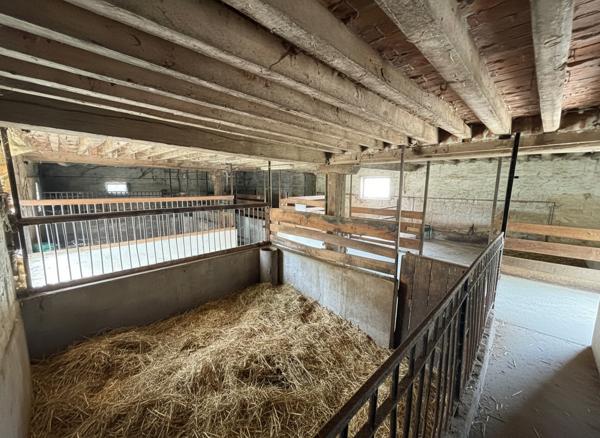 Domaine à fort potentiel : étang d'un hectare, deux maisons, dépendances exceptionnelles - à rénover et personnaliser entièrement