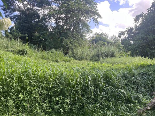 Vente Terrain 1342 m2 à Saint-Joseph