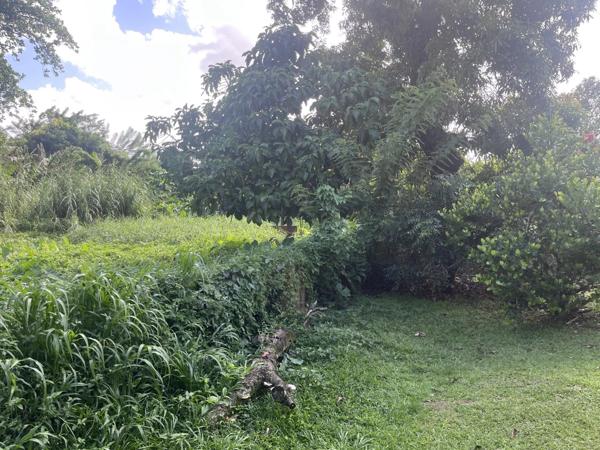 Vente Terrain 1342 m2 à Saint-Joseph