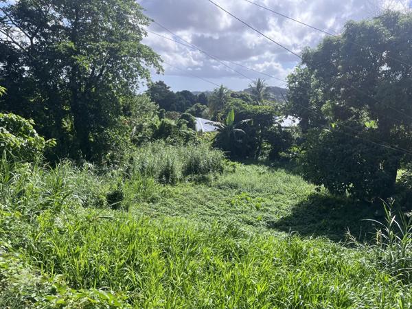 Vente Terrain 1342 m2 à Saint-Joseph