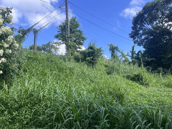 Vente Terrain 1342 m2 à Saint-Joseph