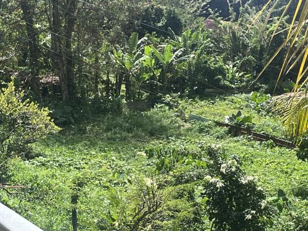 Vente Terrain 1342 m2 à Saint-Joseph