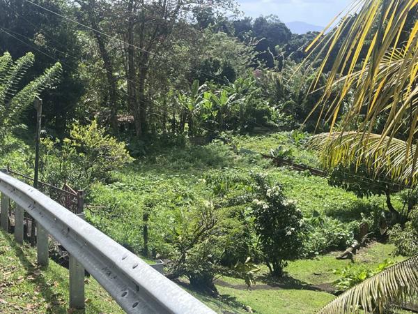 Vente Terrain 1342 m2 à Saint-Joseph