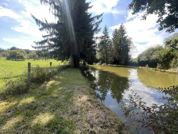 SUPERBE ETANG AVEC GRAND TERRAIN
