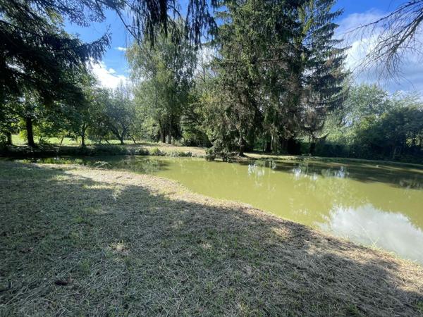 SUPERBE ETANG AVEC GRAND TERRAIN