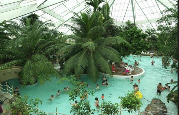 INVESTISSEMENT LOCATIF  LES BARILS - Résidence Center Parcs Les Bois Francs - 6.31%  de rentabilité.