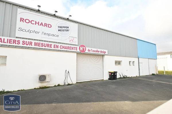 Local professionnel à vendre 519m²