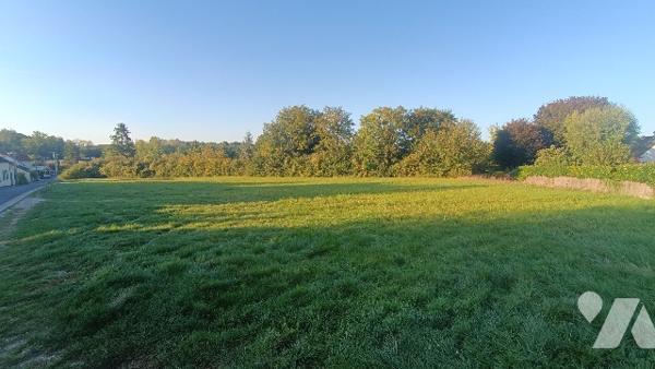 Au centre de la commune de Voulx, beau terrain constructible de 3 844 m² , 116 m de façade.
