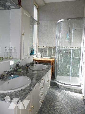 MAISON EN VENTE à ASNIERES SUR VEGRE avec dépendances et sur terrain 5545 m²